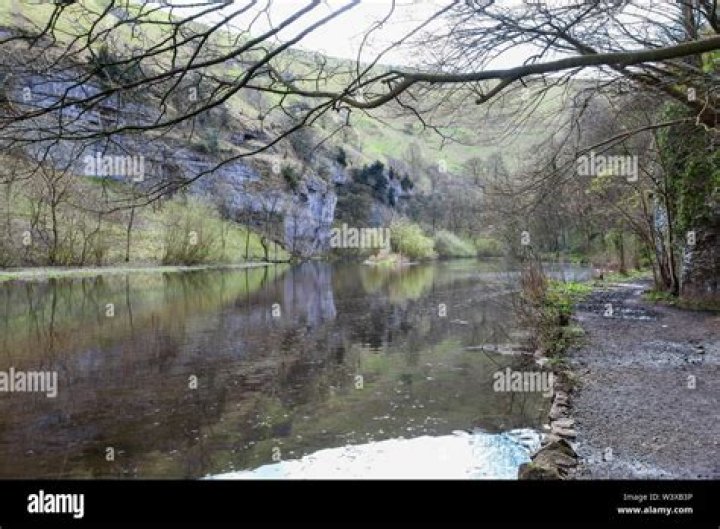 Jolly Dale Net Worth